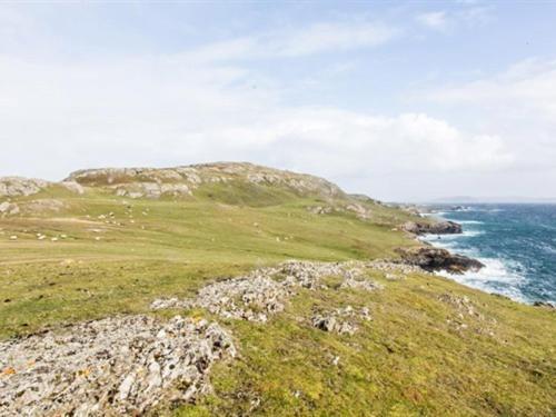 The Beach, Days Bar And B&B Inishbofin Extérieur photo
